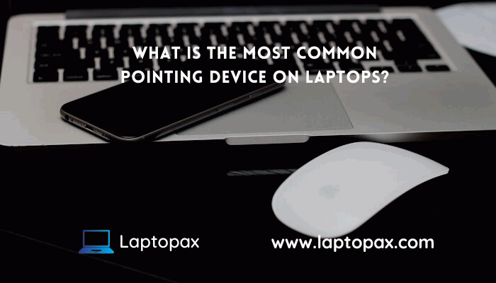 what is the most common pointing device on laptops